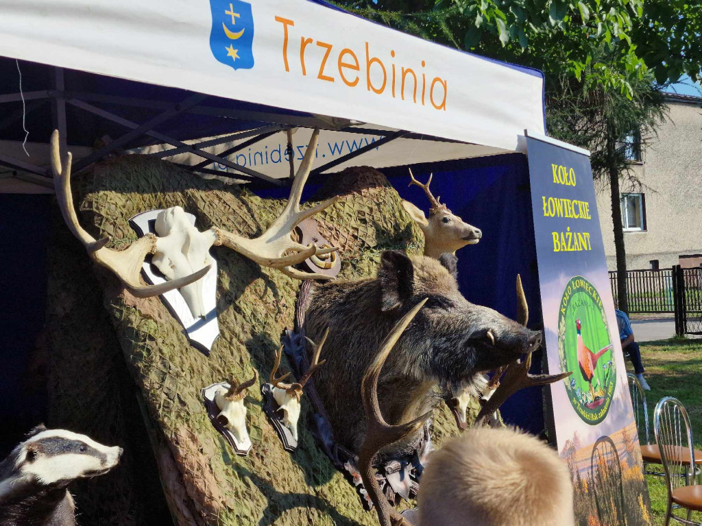 Dożynki Gminy Trzebinia w Sierszy - 20.08.23r.