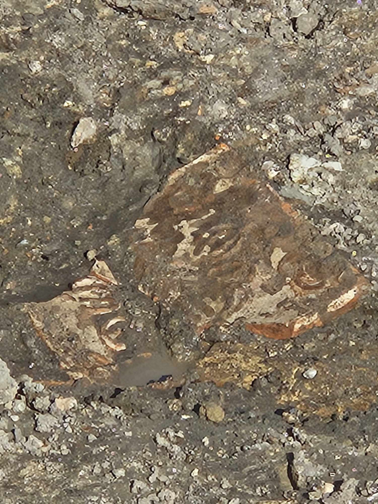 Badania archeologiczne na Rynku w Chrzanowie