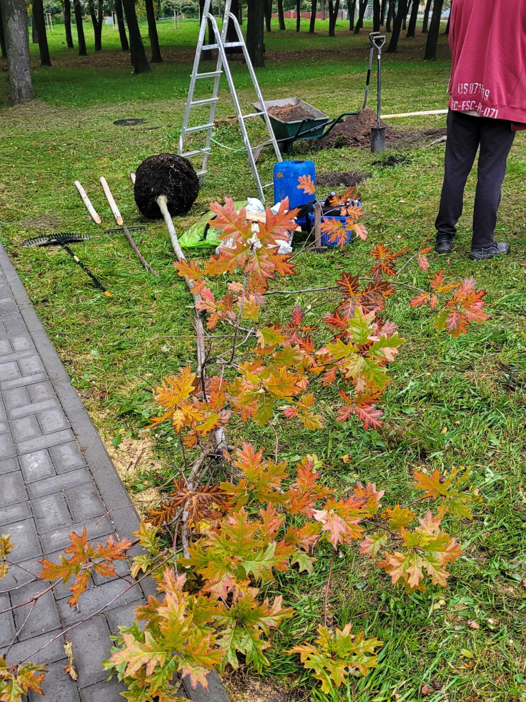 Kapsuła czasu w Myślachowicach 19.10.2023