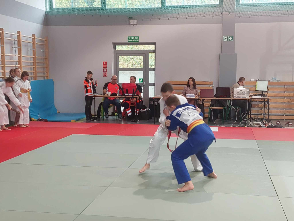 Judo Kangury w Wolbromiu - 11.11.2023r.