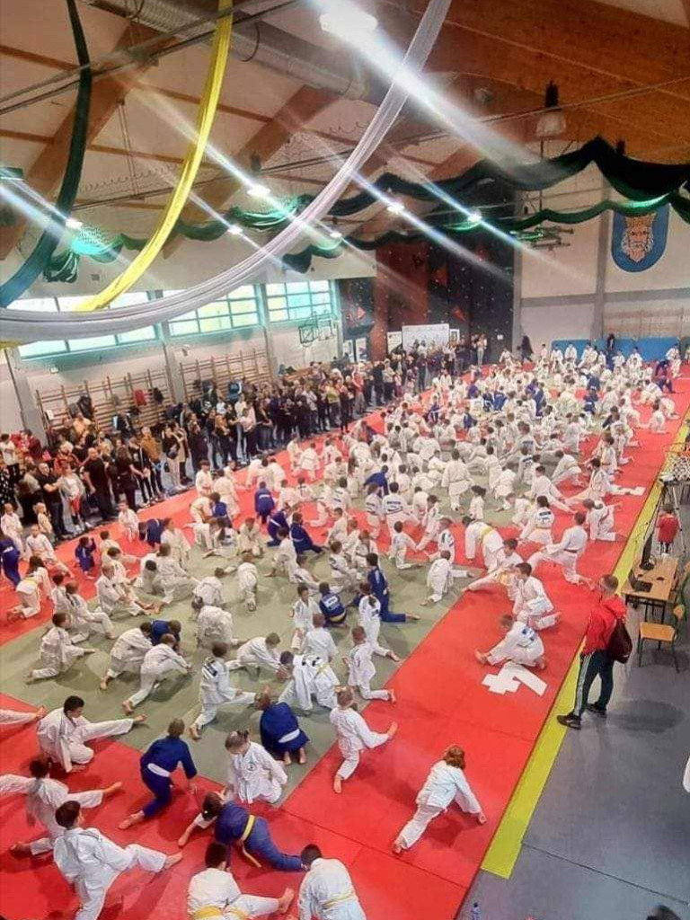 Judo Kangury w Wolbromiu - 11.11.2023r.