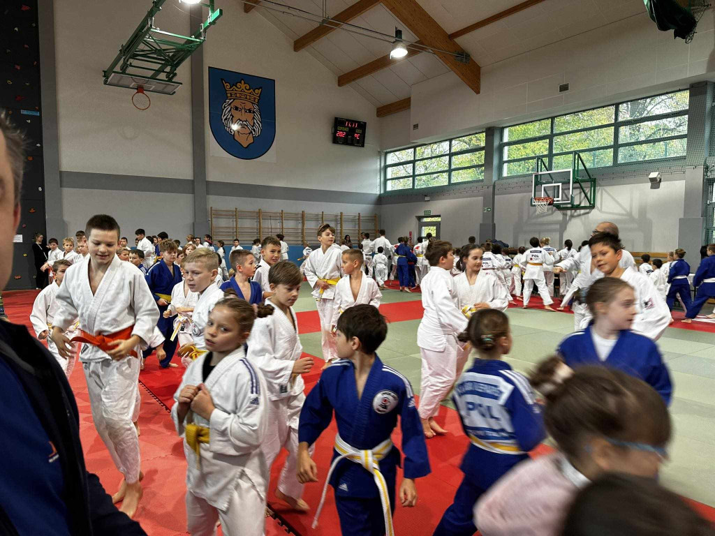Judo Kangury w Wolbromiu - 11.11.2023r.