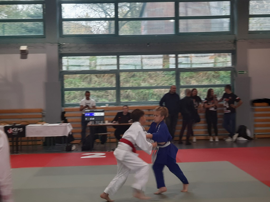 Judo Kangury w Wolbromiu - 11.11.2023r.