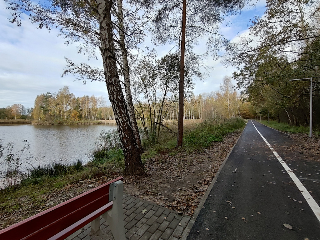 Stawy w Chełmku po rewitalizacji