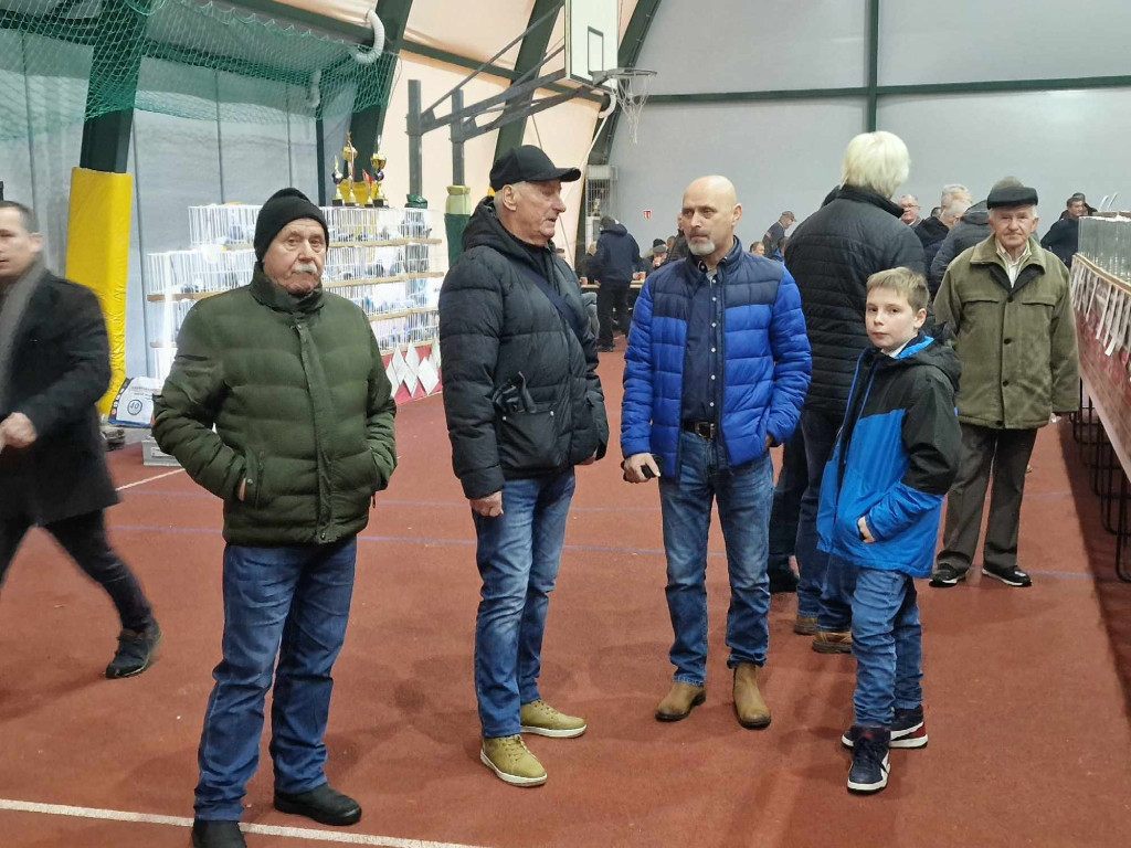 Wystawa najładniejszych gołębi w województwie małopolskim w hali sportowej w Żarkach - 02.12.2023r.