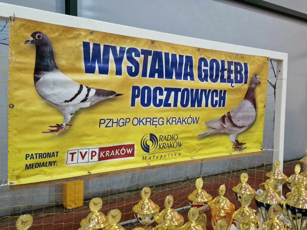 Wystawa najładniejszych gołębi w województwie małopolskim w hali sportowej w Żarkach - 02.12.2023r.