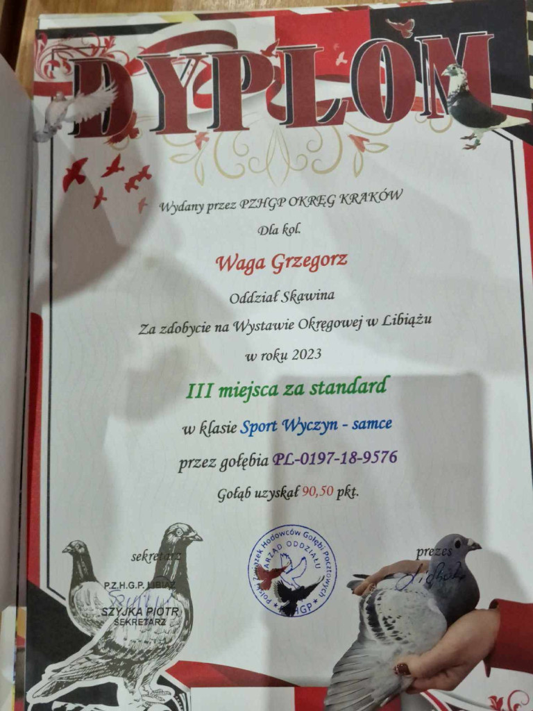 Wystawa najładniejszych gołębi w województwie małopolskim w hali sportowej w Żarkach - 02.12.2023r.