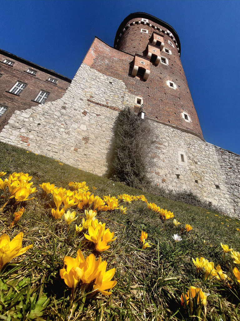 Kraków w obiektywie grupowiczów PRZEŁOMowe Kadry
