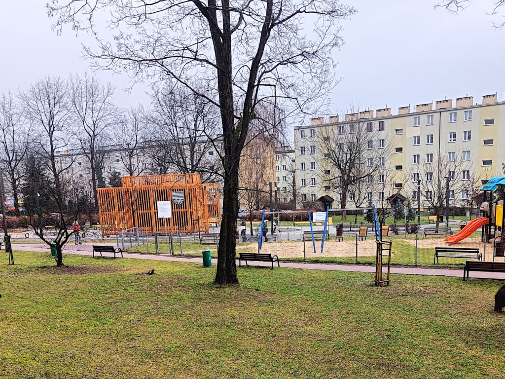 Dziki przy tężni solankowej na osiedlu Północ w Chrzanowie