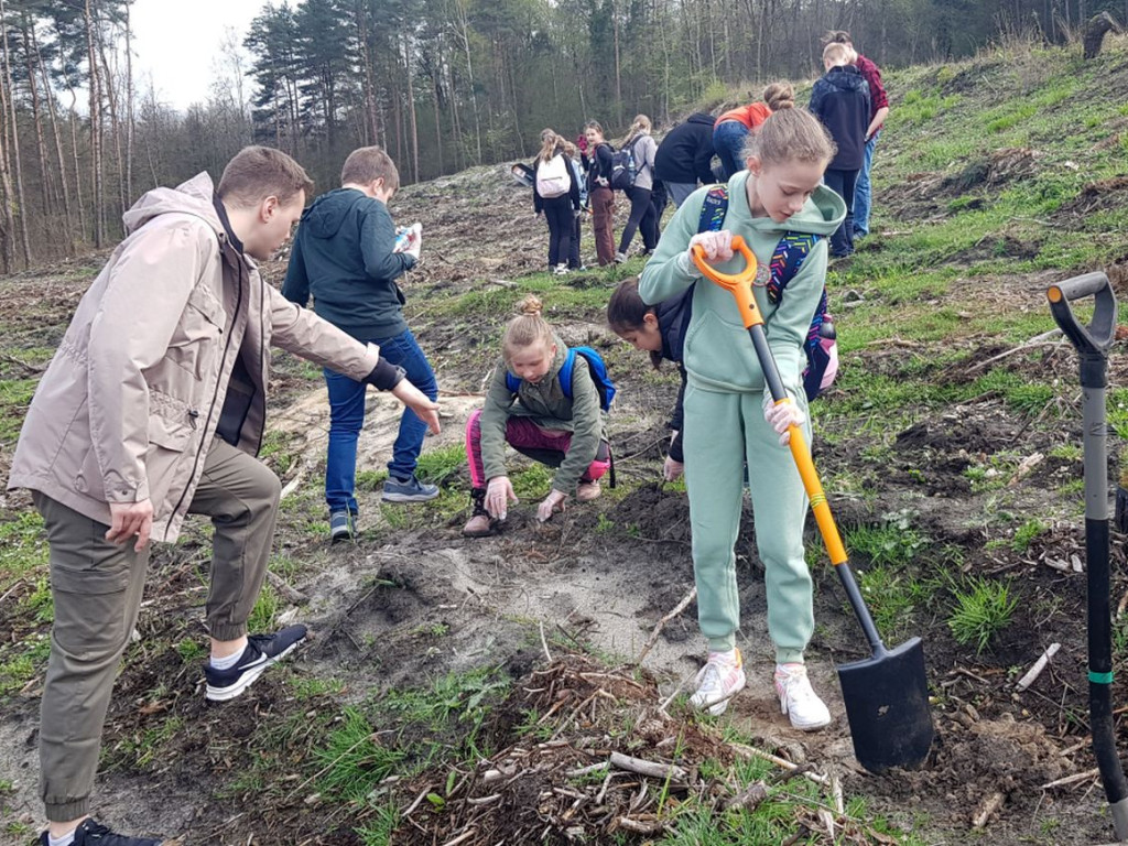 Sadzenie drzew w Pogorzycach z PTT Chrzanów