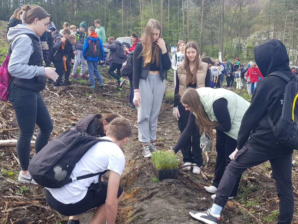 Sadzenie drzew w Pogorzycach z PTT Chrzanów