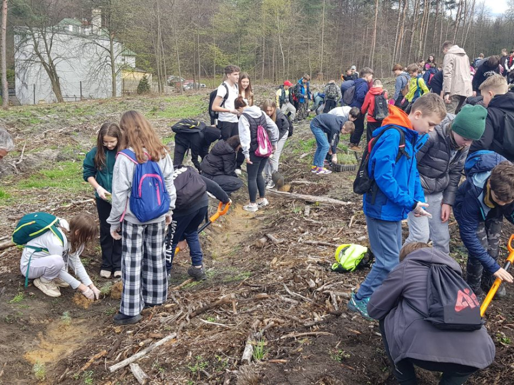 Sadzenie drzew w Pogorzycach z PTT Chrzanów