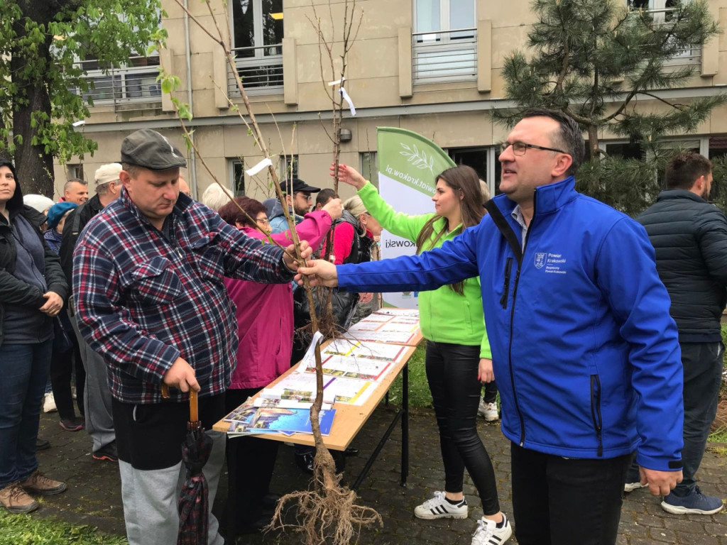 Starosta krakowski rozdaje sadzonki przy LO w Krzeszowicach 17.04.2024