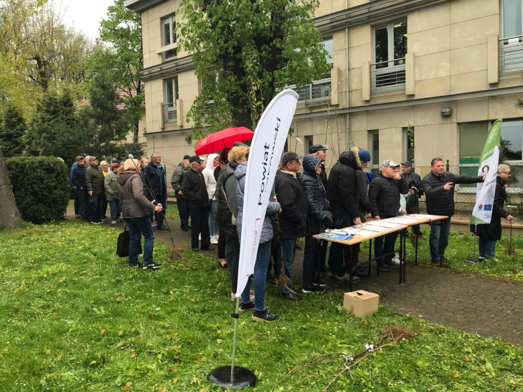 Starosta krakowski rozdaje sadzonki przy LO w Krzeszowicach 17.04.2024