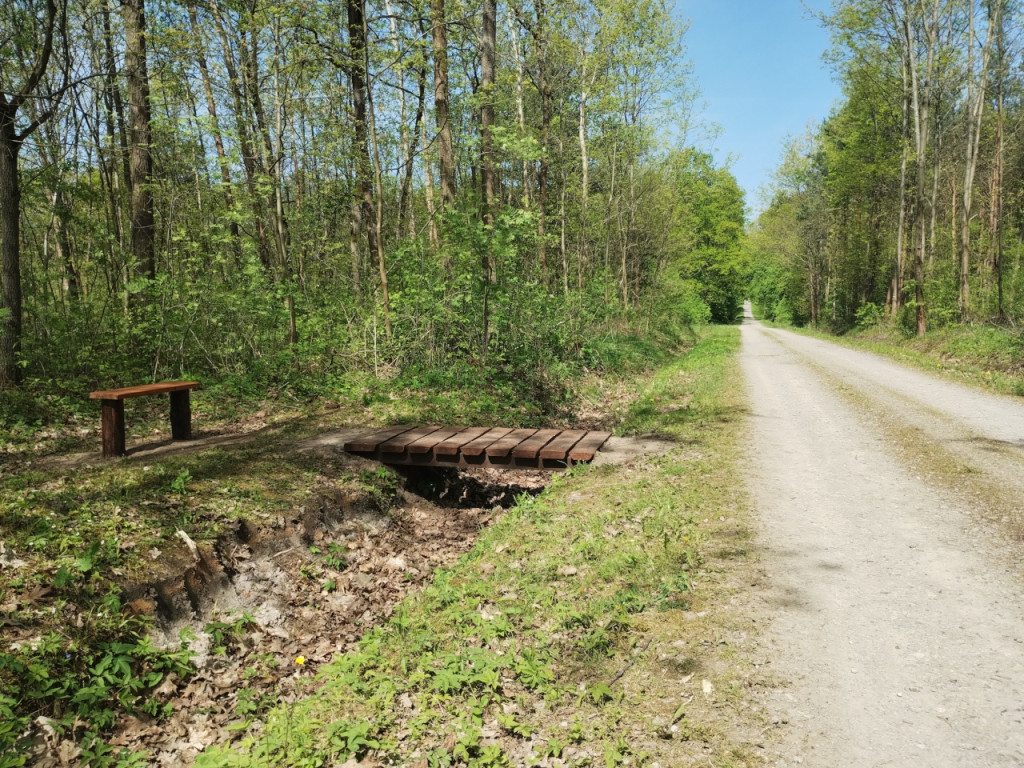 Tu można wypoczywać. Leśnicy zachęcają 30.04.2024