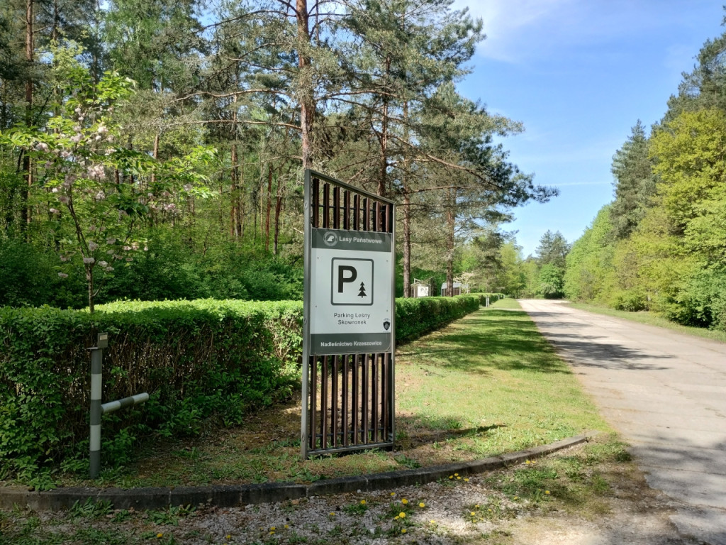Tu można wypoczywać. Leśnicy zachęcają 30.04.2024