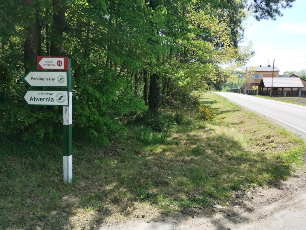 Tu można wypoczywać. Leśnicy zachęcają 30.04.2024