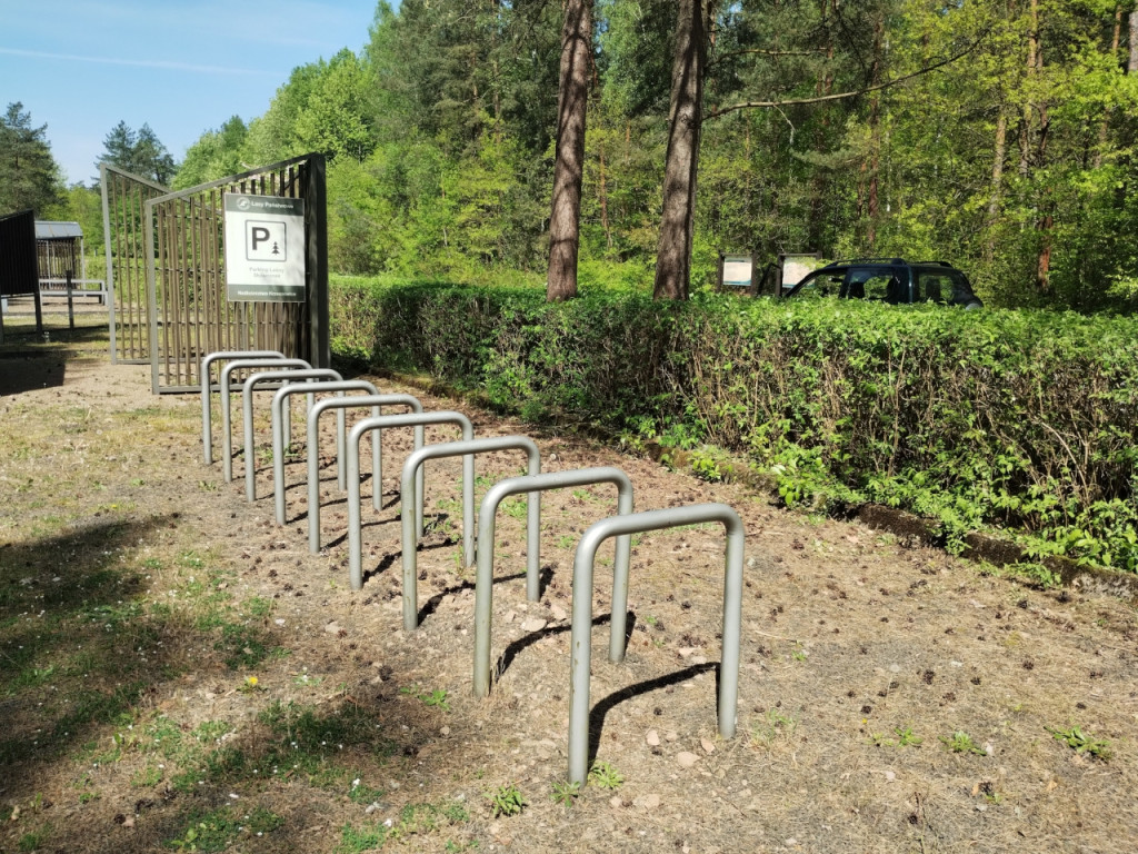 Tu można wypoczywać. Leśnicy zachęcają 30.04.2024