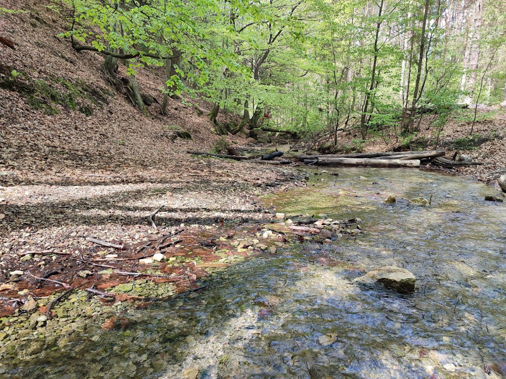 Przy źródłach Sztoły i Szlakiem Kordonów Granicznych