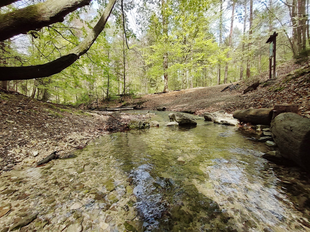 Przy źródłach Sztoły i Szlakiem Kordonów Granicznych