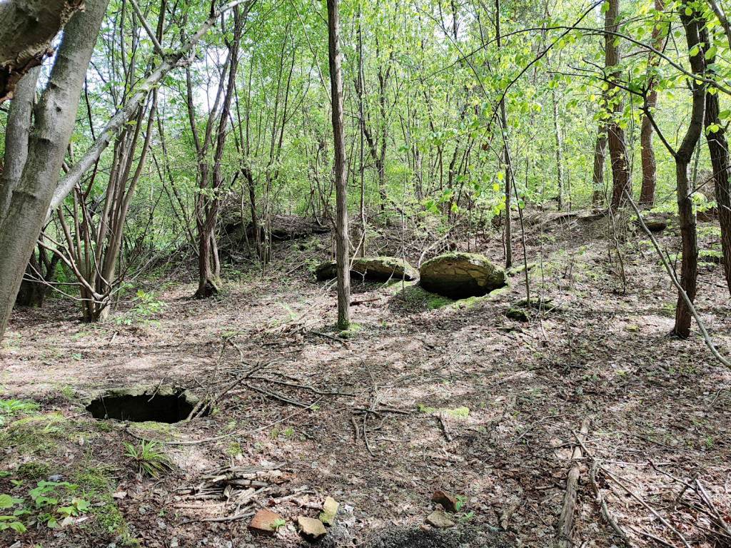 Przy źródłach Sztoły i Szlakiem Kordonów Granicznych