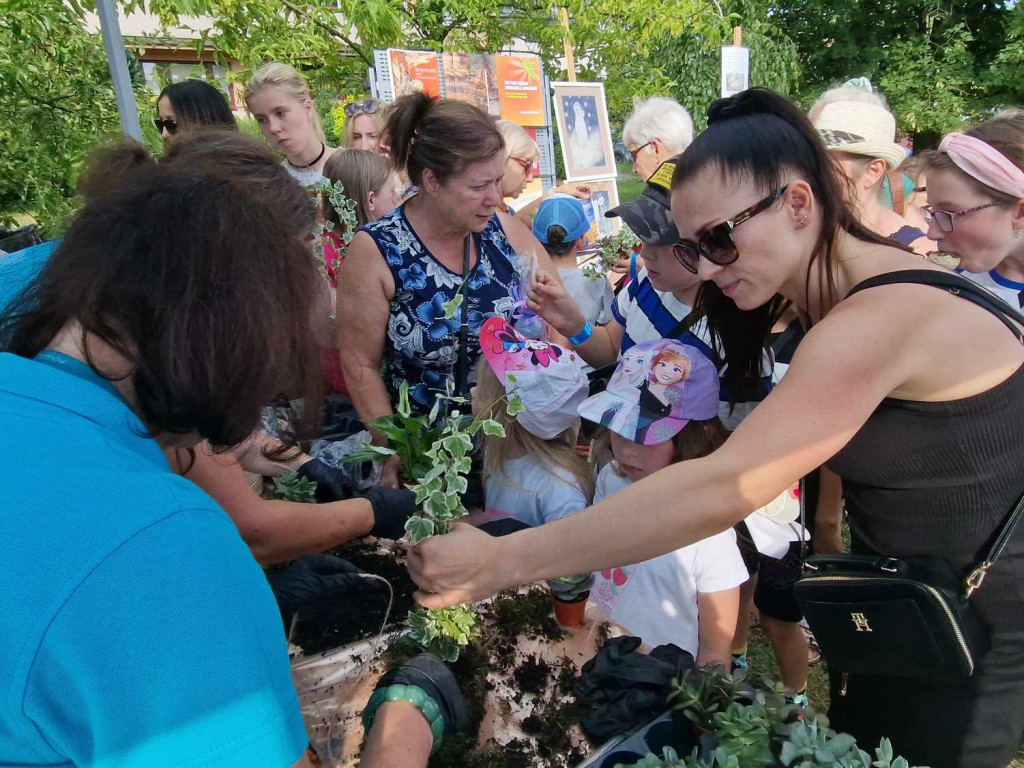 Piknik na Południu w Chrzanowie - 08.06.2024r.