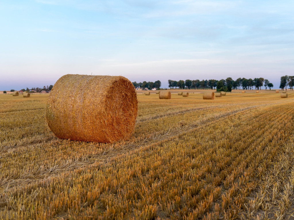 Wakacje w obiektywie grupowiczów PRZEŁOMowe Kadry