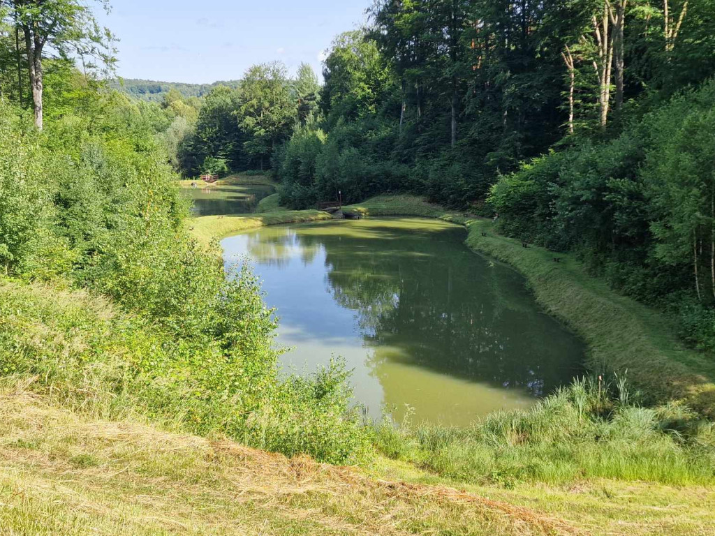 Piknik w Pogorzycach - 22.06.2024r.
