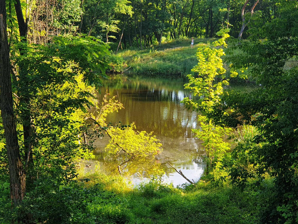 Chechłostrada wkrótce powinna być gotowa