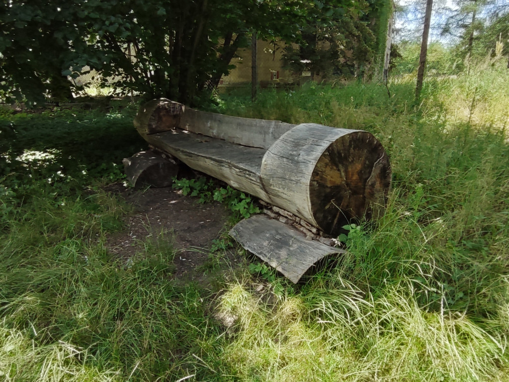 Zarośnięta Dolina Trzech Stawów w Chrzanowie