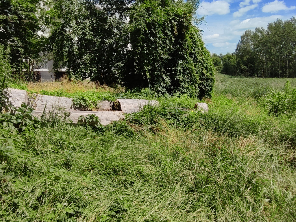 Zarośnięta Dolina Trzech Stawów w Chrzanowie