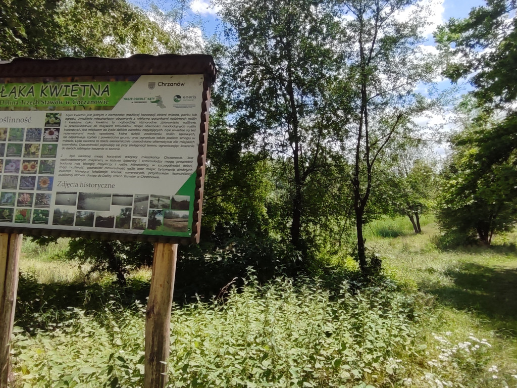 Zarośnięta Dolina Trzech Stawów w Chrzanowie