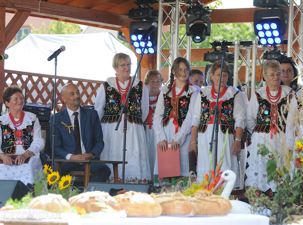 Gminne dożynki w Jankowicach