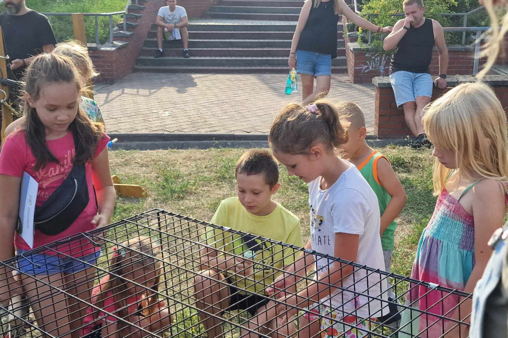 Piknik na Osiedlu Widokowym - 01.09.2024