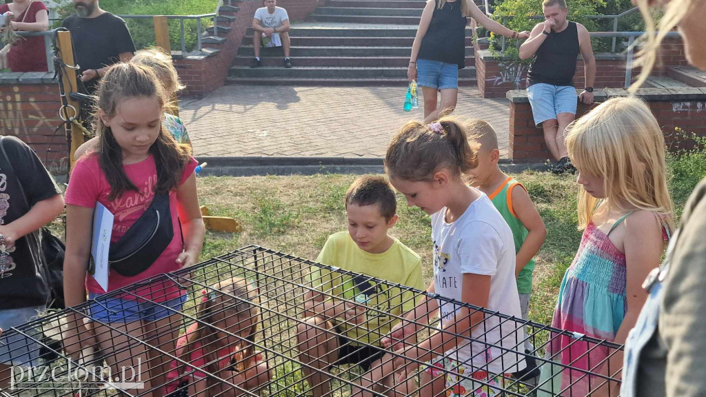 Piknik na Osiedlu Widokowym - 01.09.2024