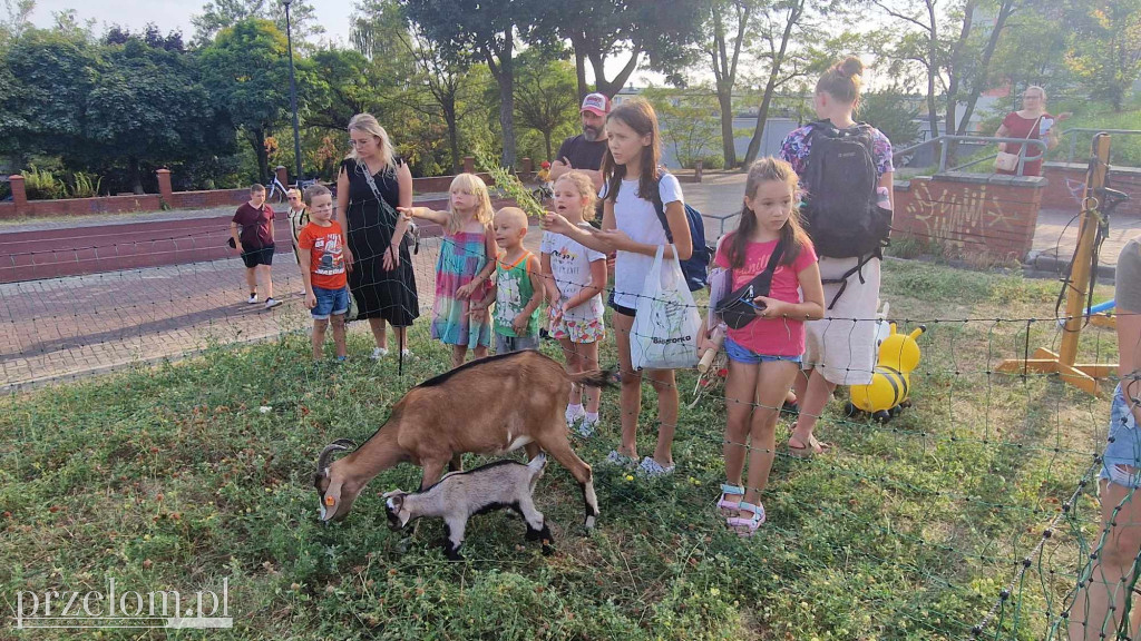 Piknik na Osiedlu Widokowym - 01.09.2024