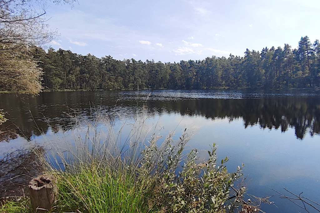 Propozycja na rower: Puszcza Niepołomicka