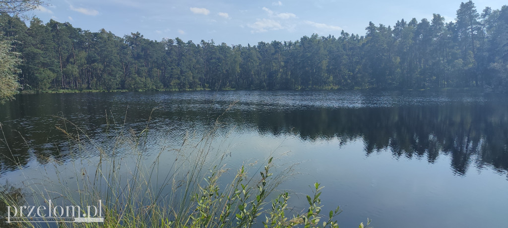 Propozycja na rower: Puszcza Niepołomicka