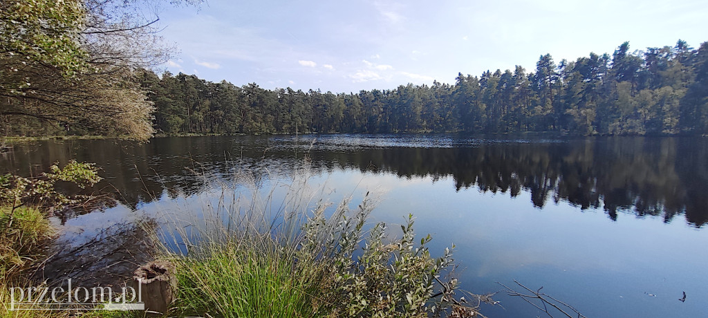 Propozycja na rower: Puszcza Niepołomicka