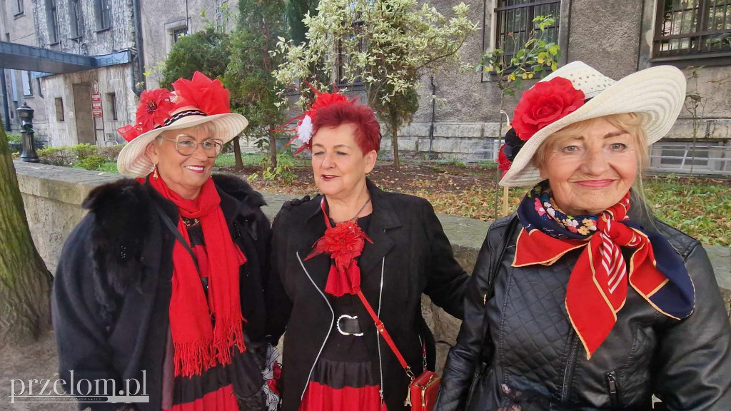 Senioralia Chrzanowskie - 29.09.2024