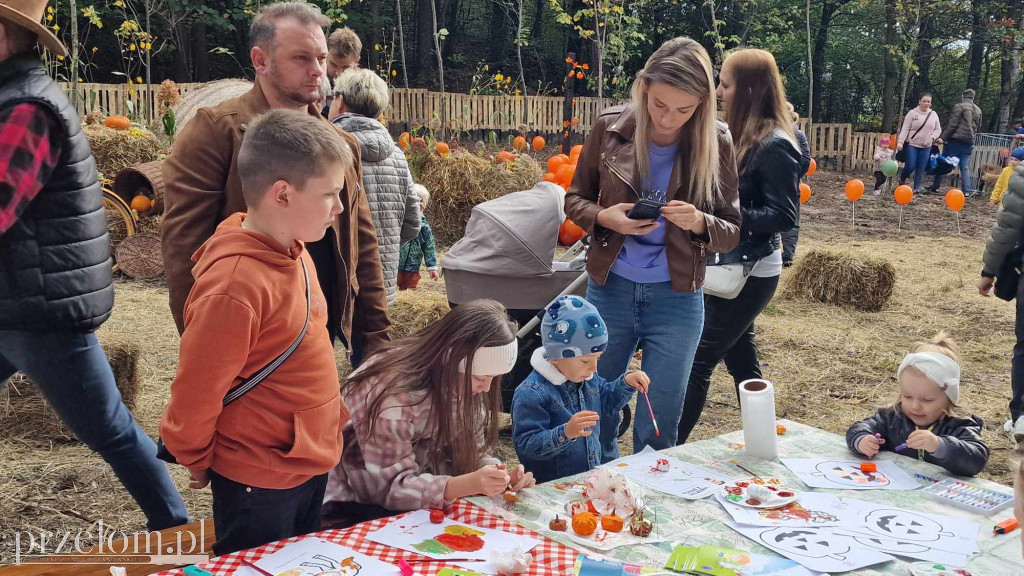 Farma Dyniowa w Zagórzu - 12.10.2024