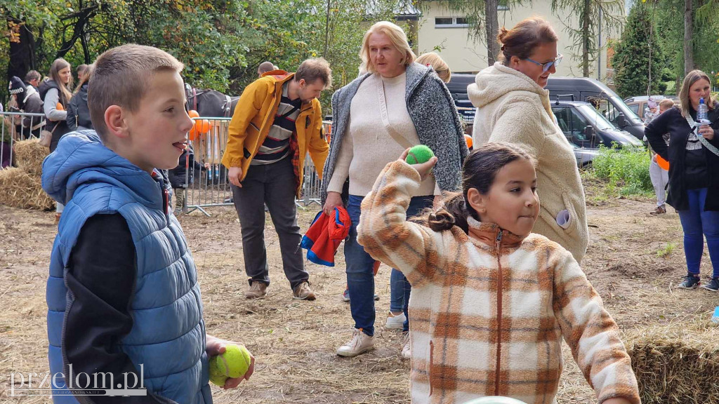 Farma Dyniowa w Zagórzu - 12.10.2024