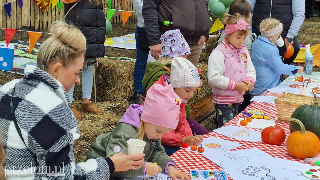 Farma Dyniowa w Zagórzu - 12.10.2024