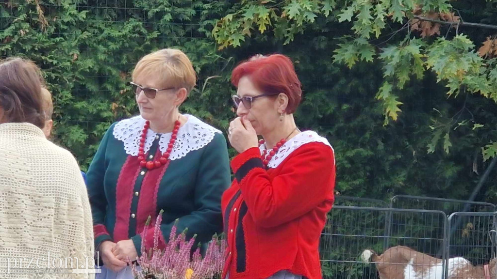Smaki Babickiego Lata - 12.10.2024