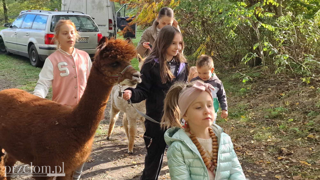 Smaki Babickiego Lata - 12.10.2024