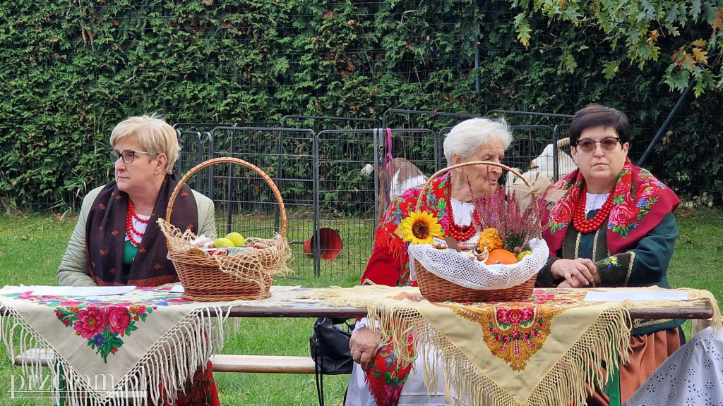 Smaki Babickiego Lata - 12.10.2024