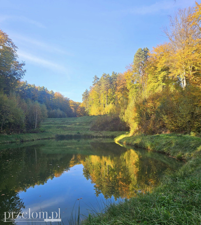 Jesień w obiektywie PRZEŁOMowe Kadry