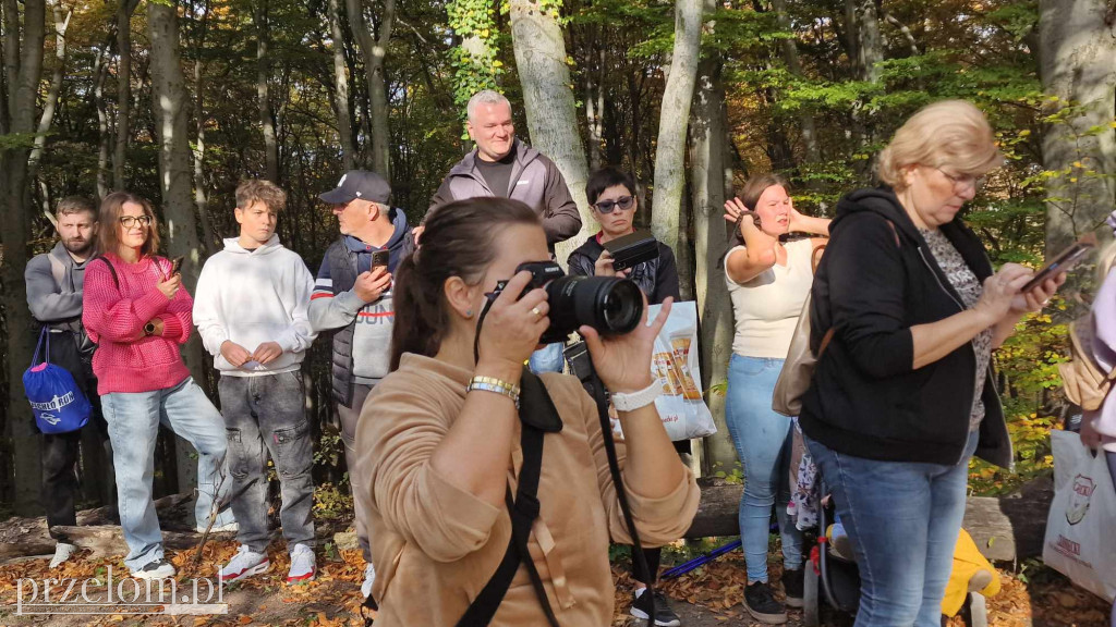 Bieg Rycerski Run Gloria - 27.10.2024