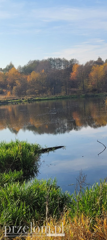 Nad wodą w obiektywie PRZEŁOMowe Kadry