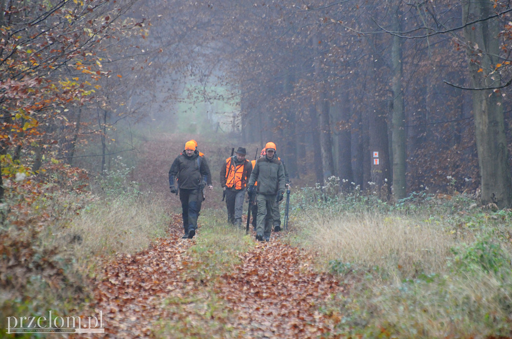 Jak wygląda polowanie? Hubertus w powiecie chrzanowskim